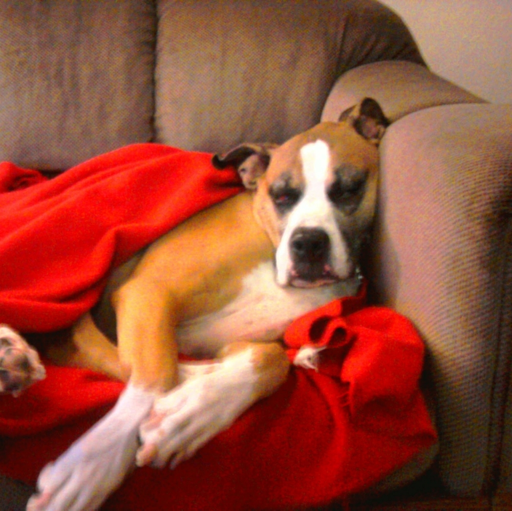 Meet your Posher, Janet - Picture 5 of 12